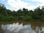 River Amazon